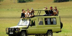 Rwanda tour operators :choose best safari company in Rwanda Affordable Car Rental Rwanda for Safari AdventuresWhy hire a car for a self drive in Rwanda