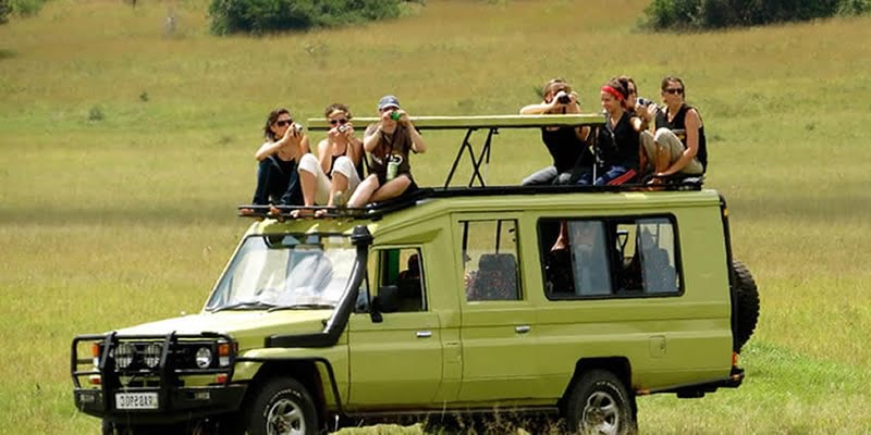 Rwanda tour operators :choose best safari company in Rwanda Affordable Car Rental Rwanda for Safari AdventuresWhy hire a car for a self drive in Rwanda