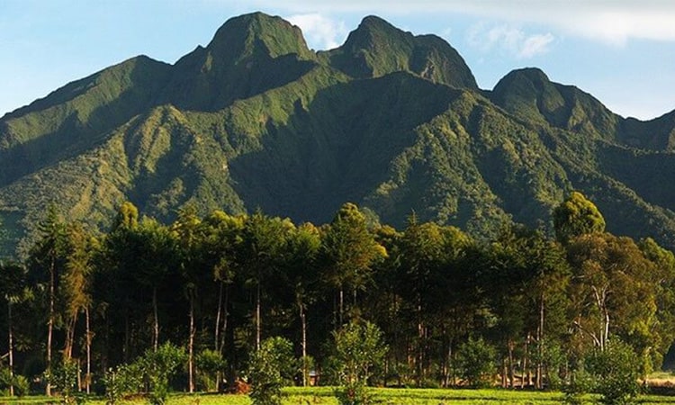 7-Day Rwanda Self-Drive Itinerary: Primates and Big Five